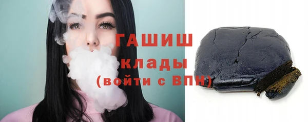 гидра Инта