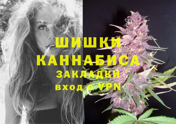тгк Карпинск