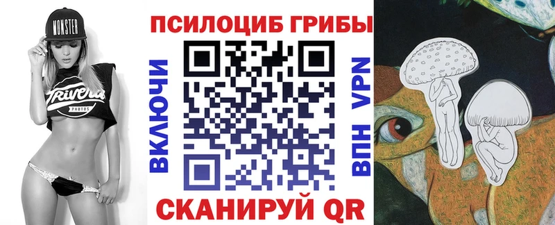кракен как зайти  Кимры  Галлюциногенные грибы Magic Shrooms 