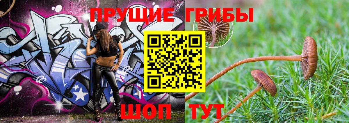 Галлюциногенные грибы MAGIC MUSHROOMS Кимры