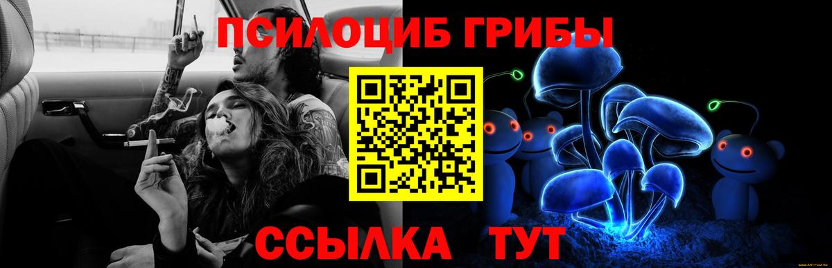 Кимры  Галлюциногенные грибы MAGIC MUSHROOMS  Вход с VPN 